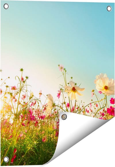 Gards Tuinposter Kosmos Bloemenveld met een Opkomende Zon - 40x50 cm - Tuindoek - Tuindecoratie - Wanddecoratie buiten - Tuinschilderij
