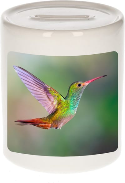 Dieren kolibrie vogel foto spaarpot 9 cm jongens en meisjes - Cadeau spaarpotten vogels liefhebber