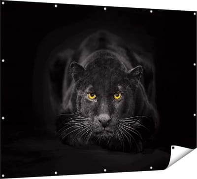 Gards Tuinposter Zwarte Panter met Oranje Ogen - 160x120 cm - Tuindoek - Tuindecoratie - Wanddecoratie buiten - Tuinschilderij