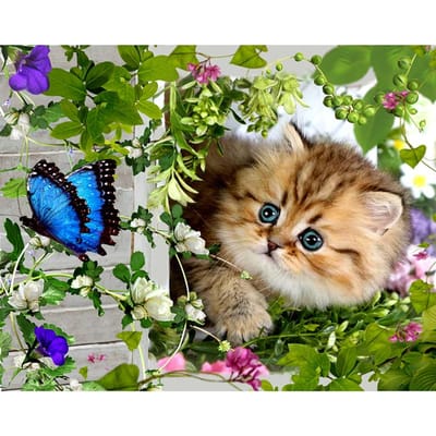 Diamant 5D DIY diamant borduurwerk  Loverly Kitten & Rattans  kruissteek Strass mozaïek schilderij 20X30CM black