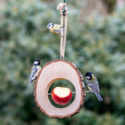 CJ Wildlife - Appelhouder Columbus - Bruin - Vogelvoederplek