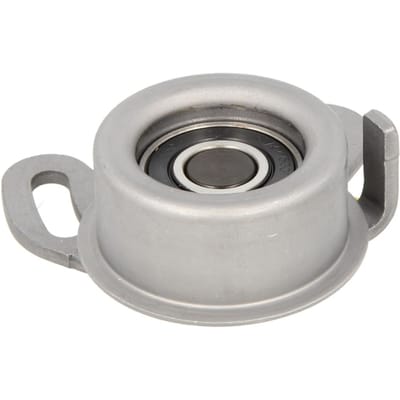 Tandriempoelie SKF VKM 75001