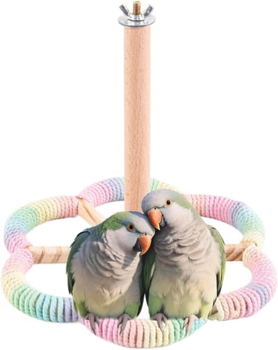 Vogel Snoepstok - Interactieve Zitstok - Vogelkooi Verrijking - Draaimechaniek - 21x21x20cm