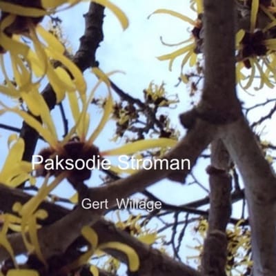 Paksodie Stroman - Gert Wijlage