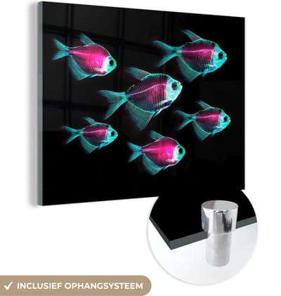 MuchoWow® Glasschilderij 40x30 cm - Schilderij acrylglas - Vis - Paars - Blauw - Foto op glas - Schilderijen