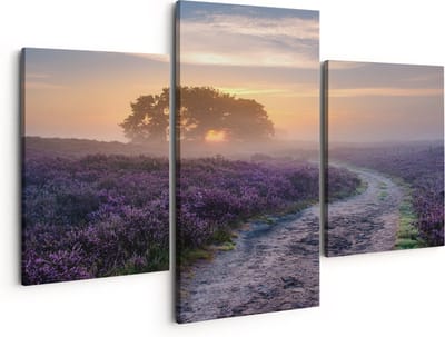 Artaza Canvas Schilderij Drieluik Pad in de Weide van de Veluwe - 150x120 - Groot - Foto Op Canvas - Canvas Print