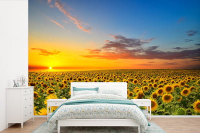 Behang - Fotobehang Bloemen - Zonnebloem - Zonsondergang - Nacht - Oranje - Breedte 600 cm x hoogte 400 cm