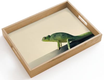 Dienblad hout 40x30 cm - Schootdienblad - Kameleon - Groen - Minimalistisch - Borrelplank rechthoek - Plateau dienbladen