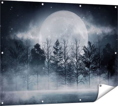 Gards Tuinposter Maan tussen de Bomen in de Nacht - 120x90 cm - Tuindoek - Tuindecoratie - Wanddecoratie buiten - Tuinschilderij