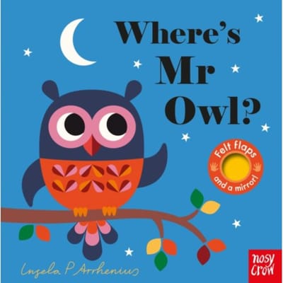 Where's Mr Owl? - Felt Flaps