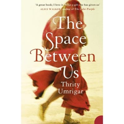 The Space Between Us - Thrity Umrigar