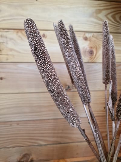 Droogbloem Babala - Koper - 70 cm -Pampasgras – Pampas Pluimen - Droog Boeket - Beige - Natural - Copper
