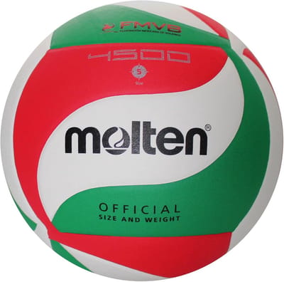 Officiële Volleybal Maat 5 - Wedstrijdbal Composiet Leer