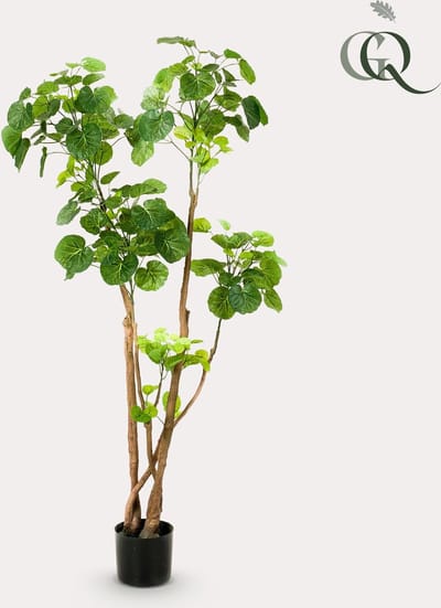 Kunstplant - Polyscias - Aralia - 135 cm