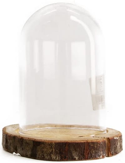 Dijk Natural Collections stolp - glas - houten bruin boomschijf plateau - D13 x H17,5 cm