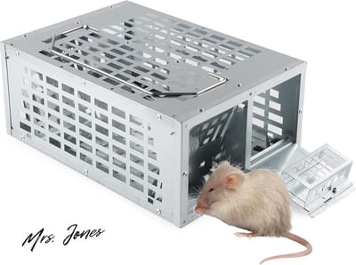 Mrs. Jones Rattenval Groot Dubbele Lokaaszone Herbruikbare Muizenval Levend Veilig voor Kinderen en Dieren Rattenlokdoos voor Huis Tuin Industrie 28 x 19 x 11 cm .