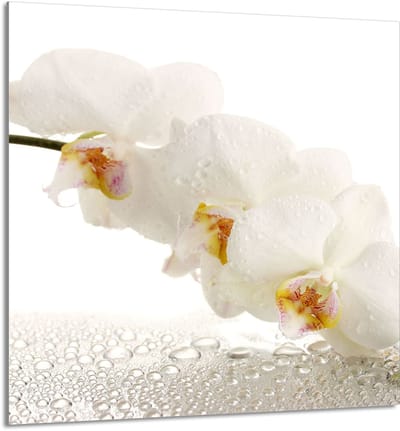 TMK ArtDeko Serie - Glazen Keukenpaneel - 60x65 cm - Orchidee