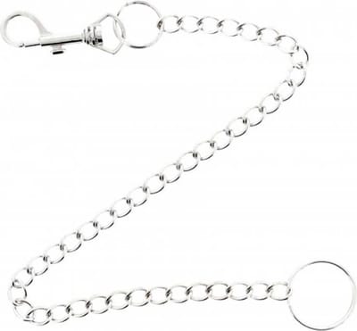 Zac's Alter Ego - 45 cm Portemonneeketting/broekketting - Zilverkleurig