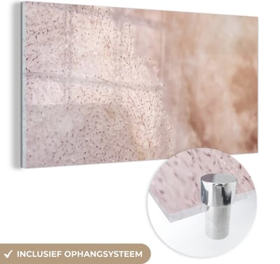 MuchoWow® Glasschilderij 40x20 cm - Schilderij acrylglas - Pampasgras - Structuur - Planten - Natuur - Foto op glas - Schilderijen