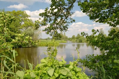 Fotobehang Riviertje de Meije Woerdense Verlaat 250 x 260 cm - € 175,--