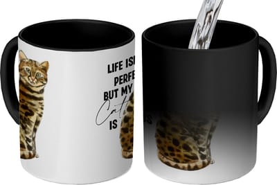 Magische Mok - Foto op Warmte Mokken - Koffiemok - Katten - Life isn't perfect but my cat is - Spreuken - Quotes - Magic Mok - Beker - 350 ML - Theemok - Mok met tekst