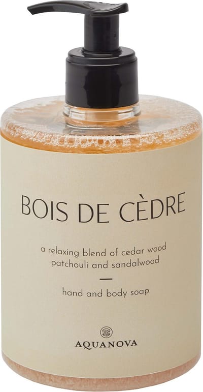 Vloeibare Zeep Paris Bois De Cèdre | Beige | Polyester