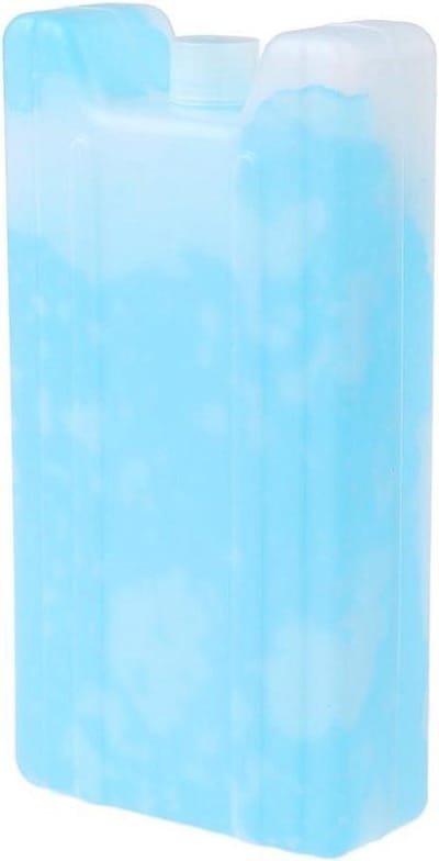 Herbruikbare IJszak - Koelelementen Set - Eten Koud Houden - Lichtgewicht Ontwerp - 20.5 cm - Blauw
