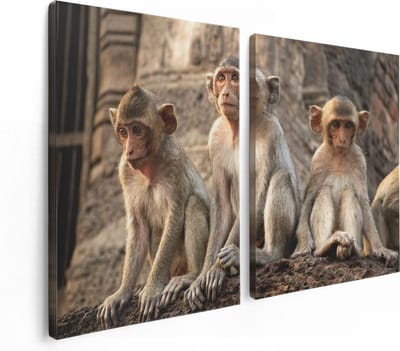 Artaza Canvas Schilderij Tweeluik Drie Kleine Apen Naast Elkaar - 120x80 - Foto Op Canvas - Canvas Print