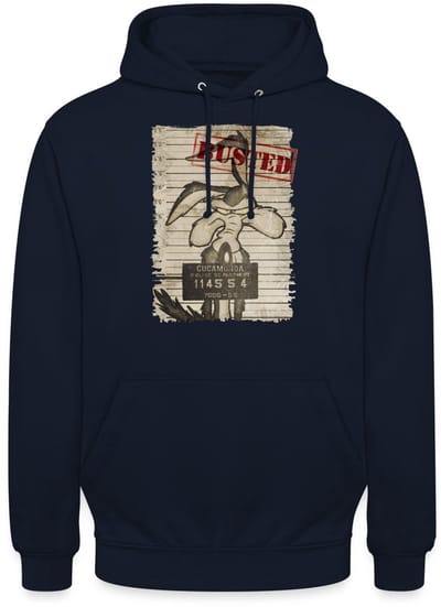 Looney Tunes Wile E. Coyote Busted Hoodie Unisex