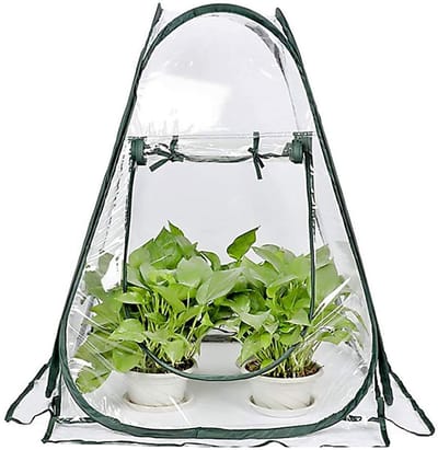 Mini Kas - Kweekkas Planten - Planten Beschermen - Opvouwbaar Ontwerp - 70 x 70 x 80 cm - Transparant