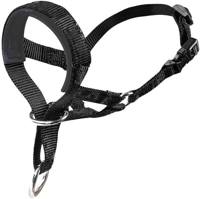 Dailygoods- Hondenhalsband Gewatteerd - Verstelbaar Hoofdharnas - Antitrek Halterkraag - Maat M - Gemakkelijk te Bedienen - Trainen met Traktatie - Hondentuig