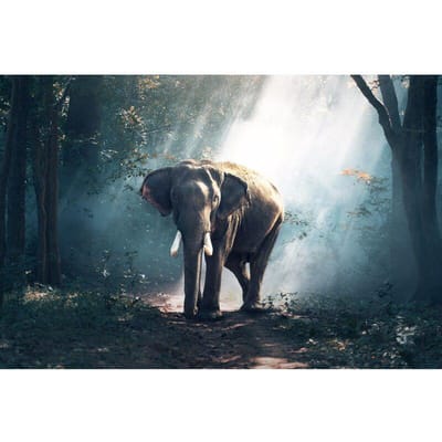 Strass borduurwerk handwerk diamant schilderij DIY diamant borduurwerk olifant bos muur kunst 20X30CM gray