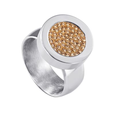 Quiges RVS Schroefsysteem Ring Zilverkleurig Glans 16mm met Verwisselbare Zirkonia Goudkleurig 12mm Mini Munt