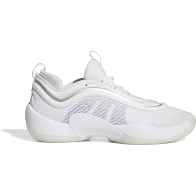 Basketbalschoenen adidas D.O.N. Issue 6