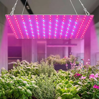 MUPOO LED Kweeklamp - 81 LEDs Rood Blauw - Groeilamp voor Binnenplanten - 8W