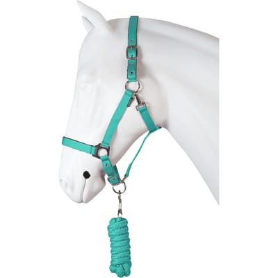 Horka Halsterset Dime Baltic Maat Cob