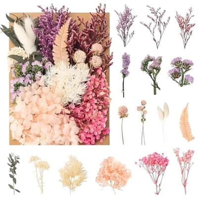 Natuurlijke gedroogde bloemen voor decoratie en knutselen