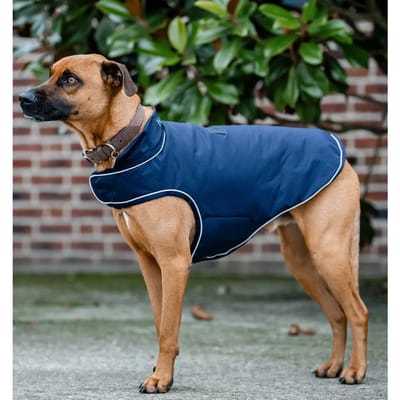 Hondendeken Horseware Signature 100g