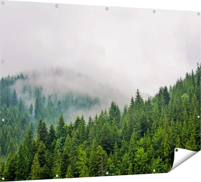 Gards Tuinposter Groen Bos met Bomen tijdens de Mist - 160x120 cm - Tuindoek - Tuindecoratie - Wanddecoratie buiten - Tuinschilderij