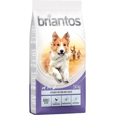 2x14kg Briantos Adult Active Hondenvoer
