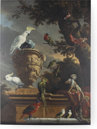 Art for the Home De menagerie Canvas 100x70 cm