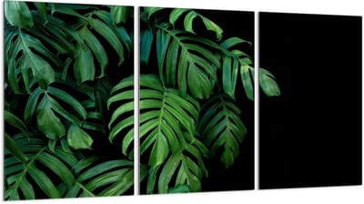 TMK ArtDeko Serie - Glazen Beschermplaat - 3x30x52 cm - Veilig - Hygiënisch - Veelzijdig