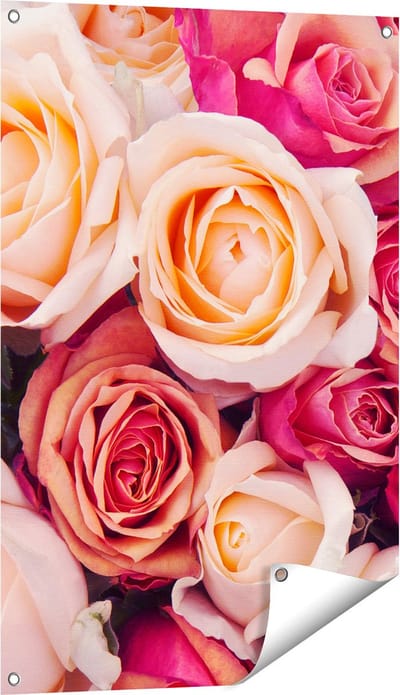 Gards Tuinposter Roze Rozen Achtergrond - Bloemen - 60x90 cm - Tuindoek - Tuindecoratie - Wanddecoratie buiten - Tuinschilderij