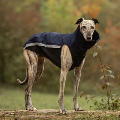 Hondenjas van Softshell en Fleece - Donker blauw - Jas voor Honden - Windhond - Galgo - Rapid Dog Wear - Maat L