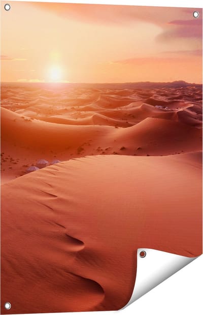 Gards Tuinposter Woestijn in de Sahara bij Zonsondergang - 60x80 cm - Tuindoek - Tuindecoratie - Wanddecoratie buiten - Tuinschilderij