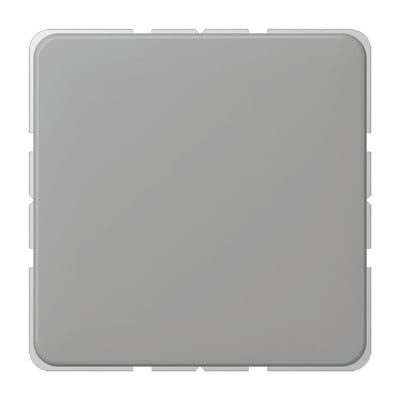 Jung CD500 Schakelelement/Centrale Plaat - CD594-OGR