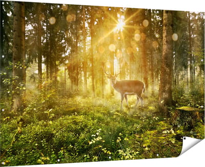 Gards Tuinposter Hert in Bos met Zon - 180x120 cm - Tuindoek - Tuindecoratie - Wanddecoratie buiten - Tuinschilderij