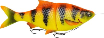 Rubberen vis voor snoekvissen – realistische 3D imitatie voorn