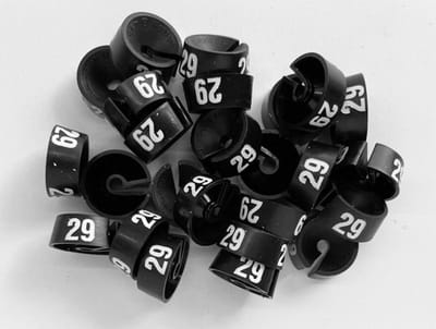 Bleijenberg Maatdopje maat 29 zwart - Maataanduiding voor kledinghangers per 25 stuks - Maatringetje Ø 20 mm - Kledinghangers - Kleerhanger - Kapstok - Mark-Brics - wisersizer