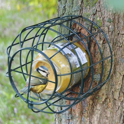 Pindakaaspothouder Voor Kleine Vogels - 15 x 15 cm - 2 St